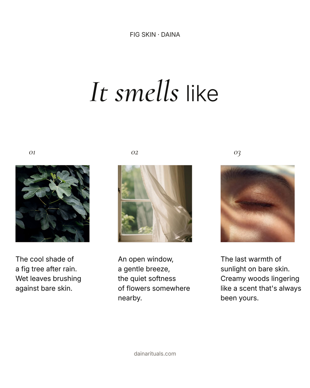DAINA Fig Skin perfume oil scent story, featuring green fig leaves, a gentle breeze through an open window, and sun-warmed skin.