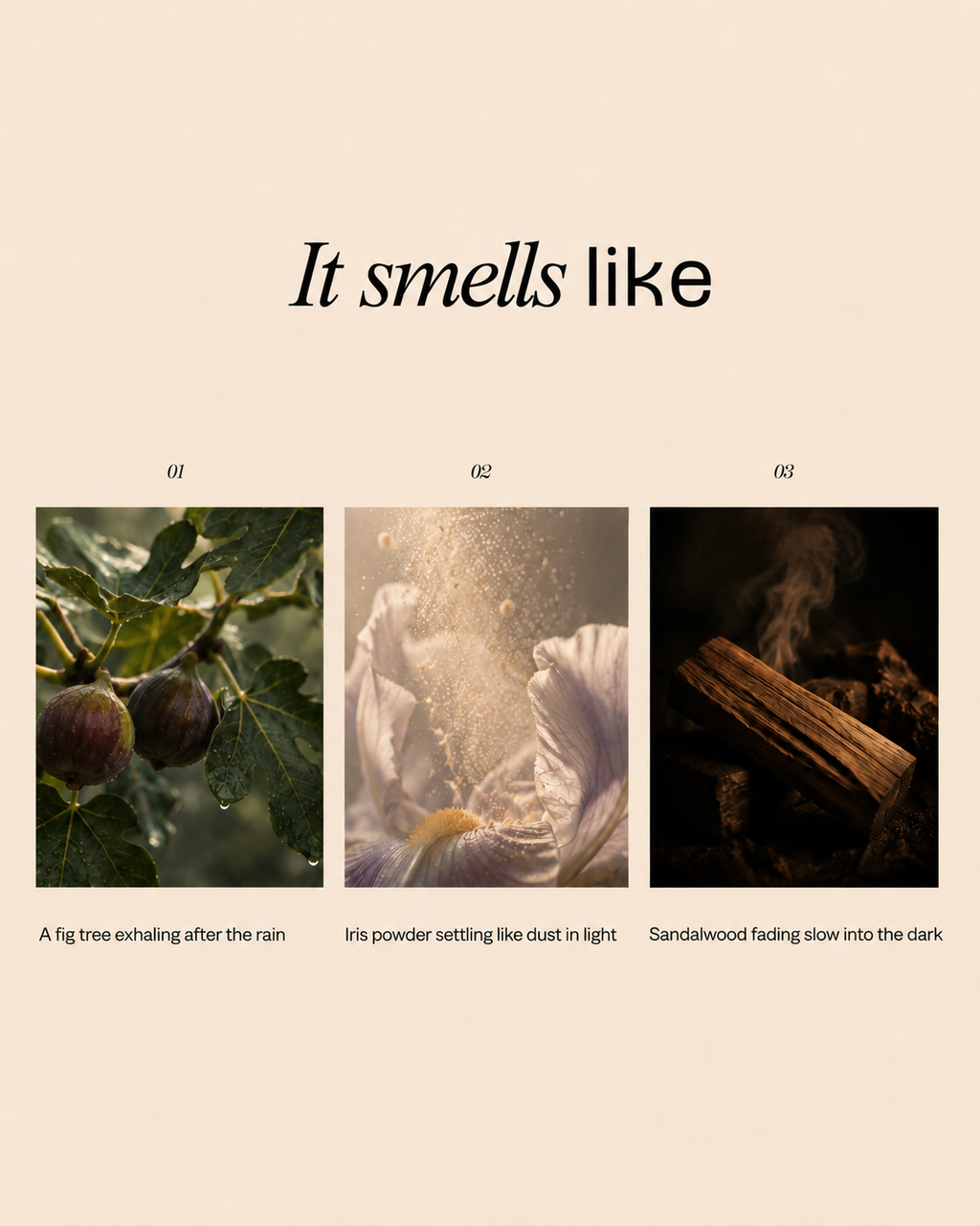 "It smells like" fragrance mood board with three panels: fig tree branches, iris powder in light, and smoldering sandalwood